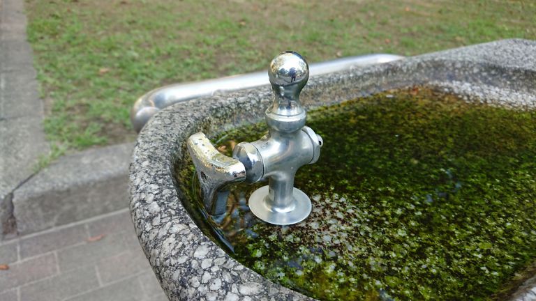 浄水器で変わる毎日の水質革命健康と美味しさを手軽に実感する方法